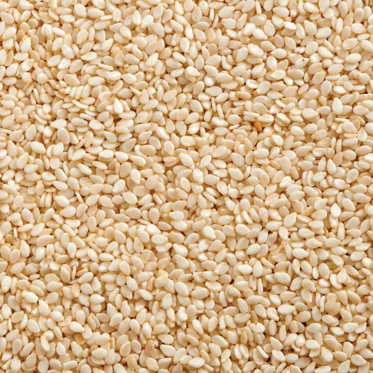 Exporter of Top Quality Agriculture Product Food Grade Healthy Natural Sesame Seeds at Factory Price