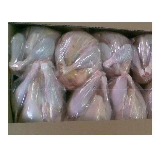 Cheap Price Supplier From Germany Frozen Top Grade Halal Whole Chicken And Chicken Parts At Wholesale Price With Fast Shipping