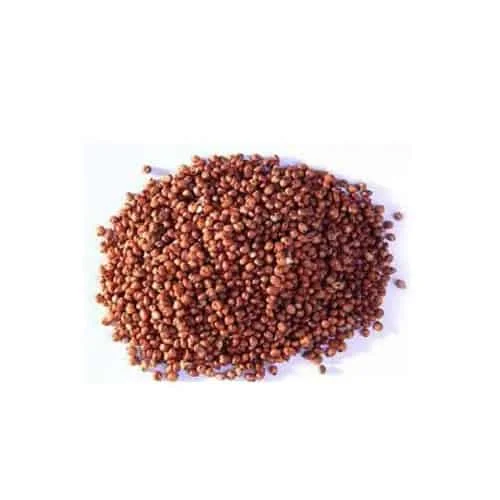 yellow millet red sorghum rolled oats /quinoa grain teff grain pigeon grain natural emery