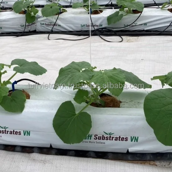 Environmentally Cocopeat Growbag 28L  Good Price High Quality Low MOQ Hot Sell From Viet Nam Agriculture brand from Tuff Vietnam