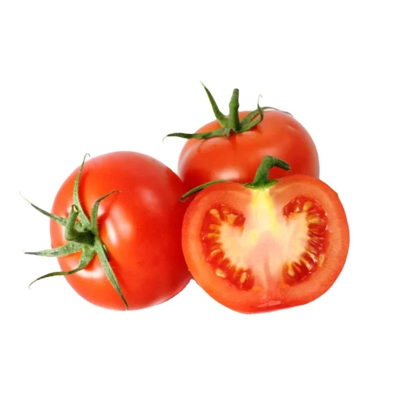Available in tin / bulk packing for Tomato