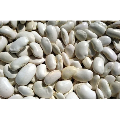 Wholesale Price Natural White Kidney Beans