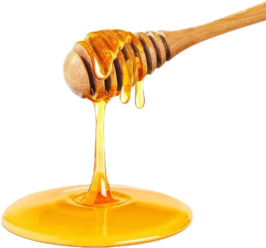 Top Quality Raw & Unfiltered Honey Bee Bee Product From Tasabee Vietnamese Supplier-Get Live Quotes Now!
