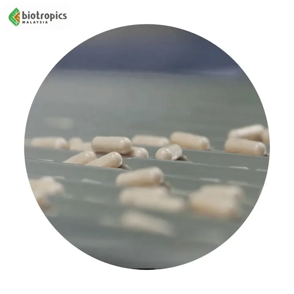 Best Price Tongkat Ali Extract Capsules Energy Booster Capsule Herbal Sports Supplements Malaysia Tongkat Ali Supplier