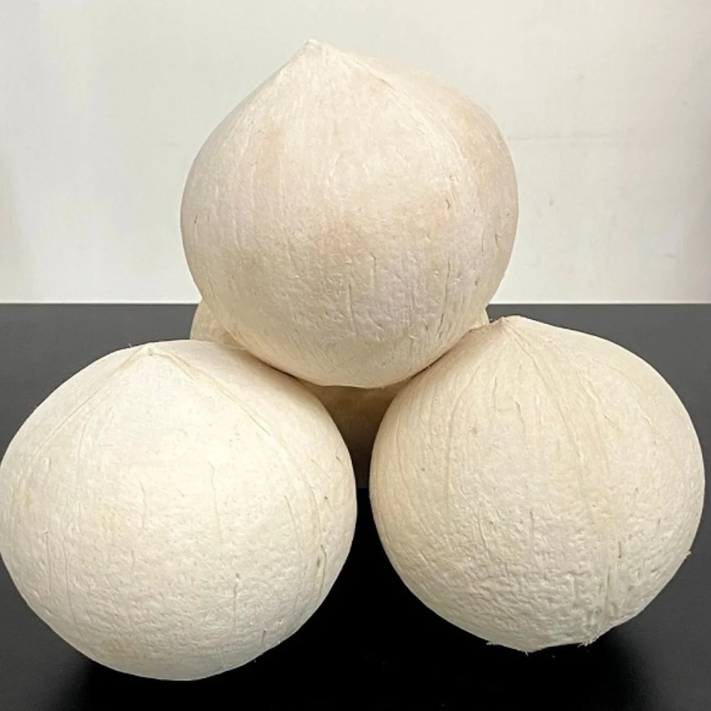 [Best Selling 2022] Top Quality Wholesale Good Price Organic Fresh Young Coconut From Viet Nam