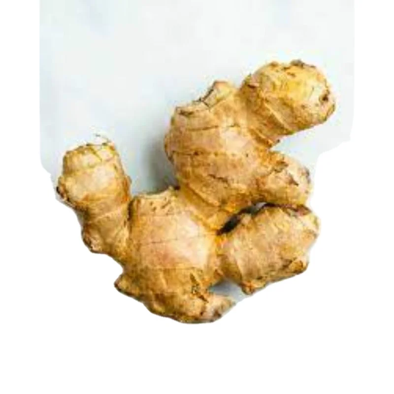 Большой размер (200gm) свежий имбирь для