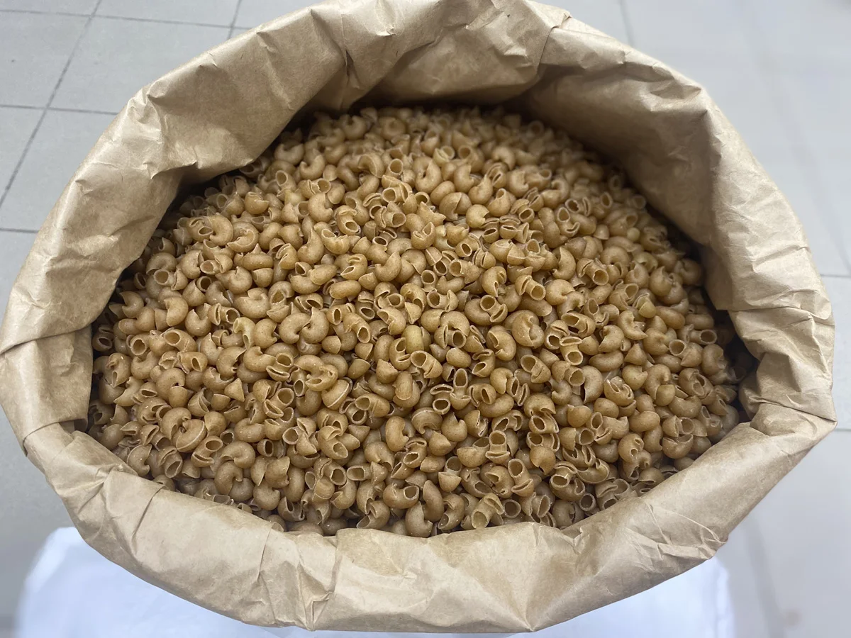 Pasta Conchiglie made of spelt top quality product wholesale natural pasta