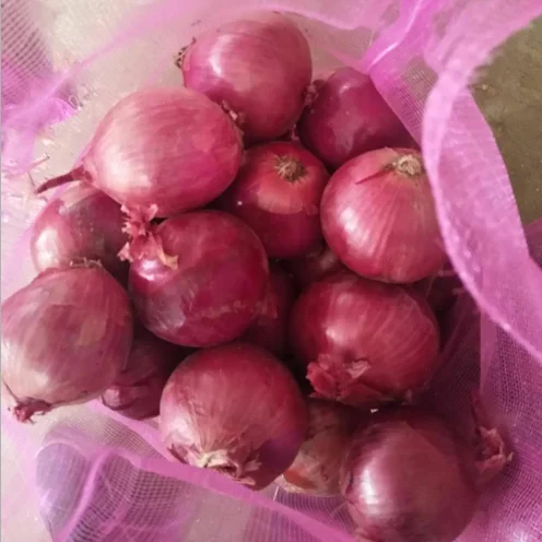 2023 New Crop Fresh Red Onion Price High Quality Natural Onions