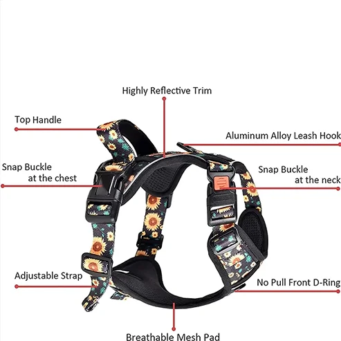 Custom No Pull Dog Harness Set Leash Easy Control Handle Reflective Vest Dogs Harness and Leash Wholesaler Best Price