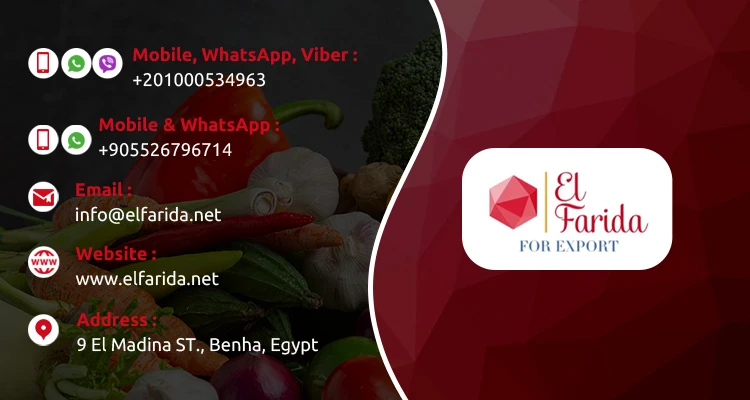 High in Nutritious Top-Notch Quality Canned (Beans - Hummus Chickpeas - Mushrooms - Sweet Corn - Green Peas) at Low Price