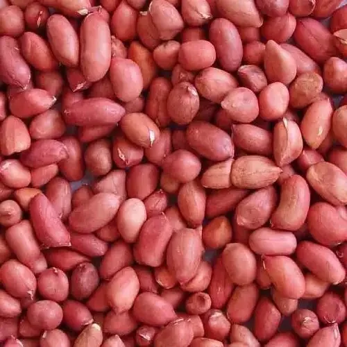 bulk raw peanuts in shell available for sale