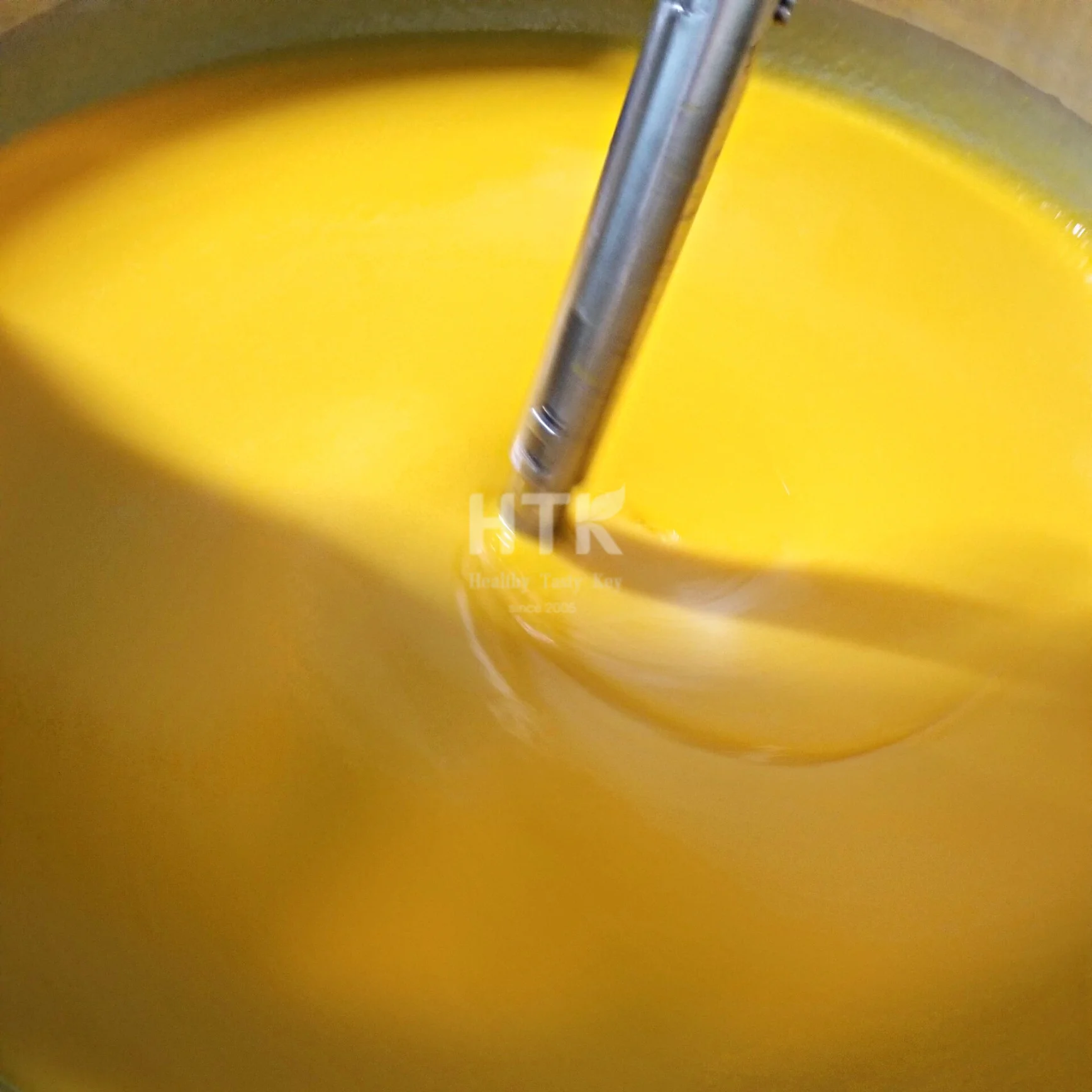 Trending 2023 Frozen MANGO Concentrate CAT CHU/KAEW BQF from HTK Food factory in Vietnam used for Food & Beverage Ingredients