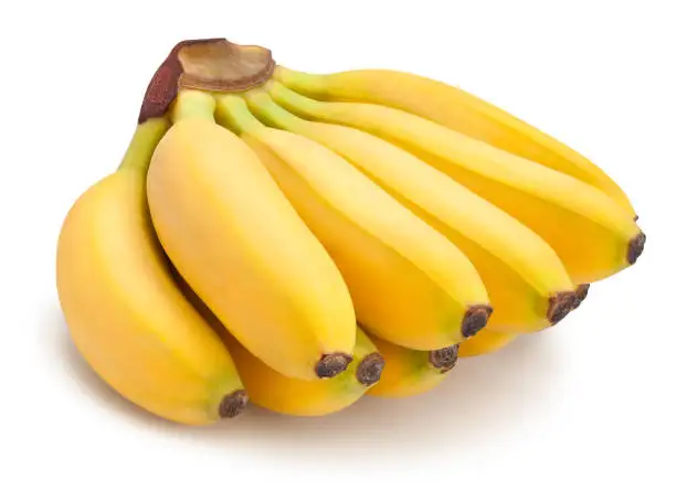 Fresh Premium Yellow  Sweet Banana High Quality Best Price in Indian Supplier