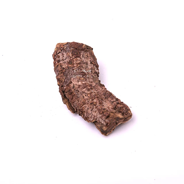 Rhubarb Roots High Quality  Extract 80% 98% Emodine Export In Bulk Quantity From Pakistan