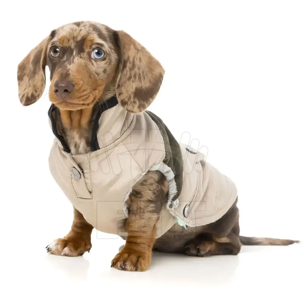 High Performance Dog Coat Custom Printed Cotton Fleece Warm Dog Coat Winter Pet Coat Dog