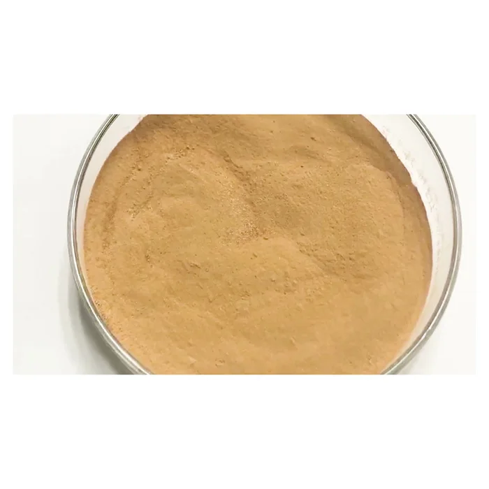 Factory Supply Alkaline Protease Enzyme Alkaline Protease High Quality