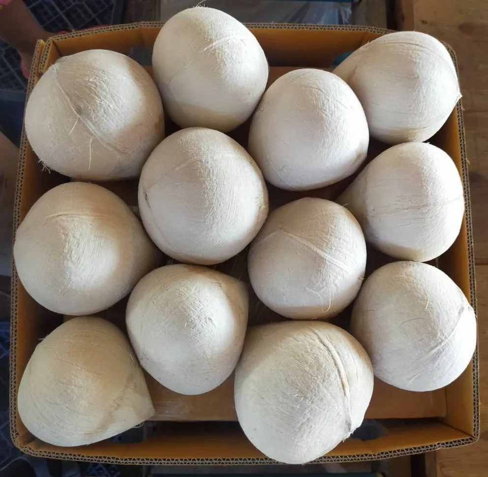 Premium Thai Fresh Coconut Polished Coconut onut perfume