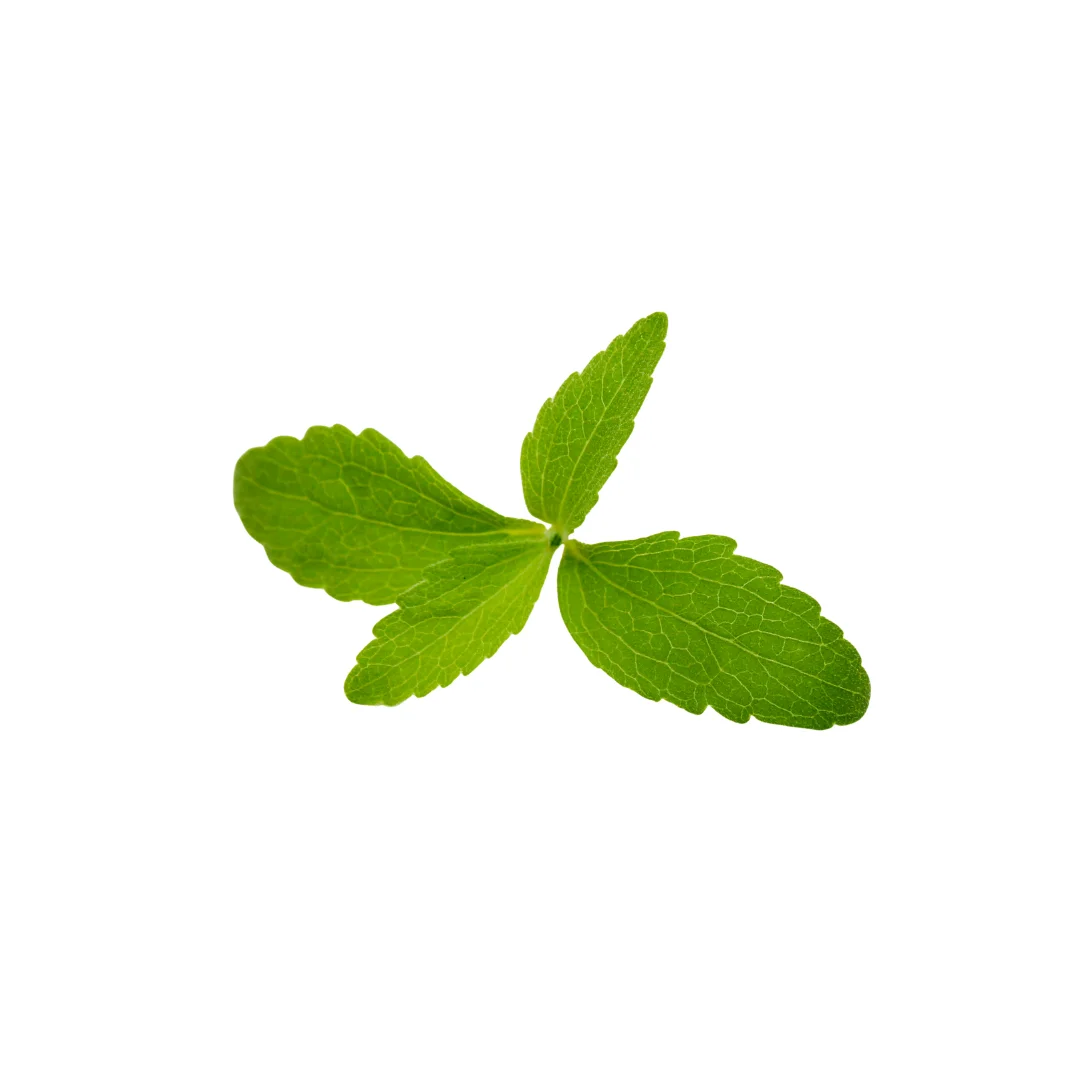 Premium Organic Stevia Leaves: Natural Sweetener for Health-Conscious Cooking and Baking