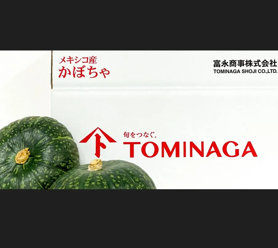 Wholesale High Quality Fresh Squash Japanese Vegetable Fresh Pumpkins