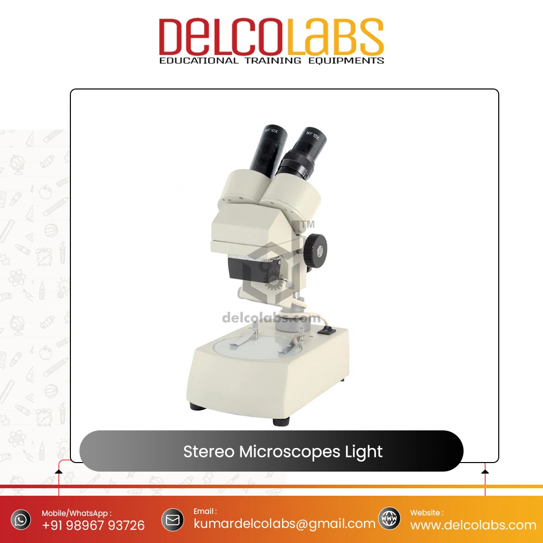 Delcolabs Stereo Microscopes Built in Light Biological Microscopes for Laboratories Teaching Manufacturer