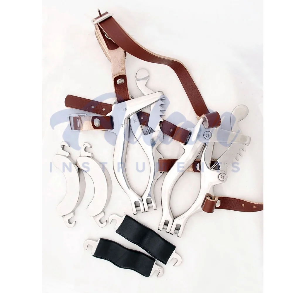 100% Top Quality Equine Mouth Gag Equine Dental Floats Set Horse Mouth Rasp Equine Dental Set Veterinary Instruments
