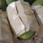HOT SALES- FROZEN JACKFRUIT- MADE IN CAN THO VIET NAM