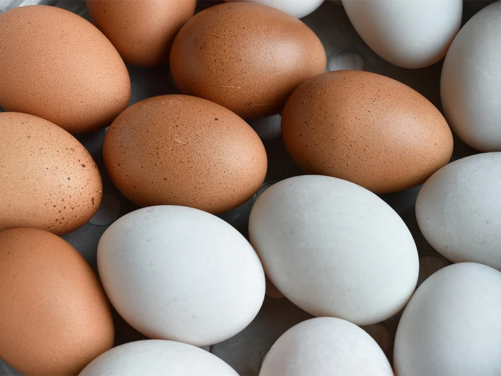 Farm Fresh Chicken Eggs / Brown And White Chicken Eggs Manufacturer In Bulk Top Grade