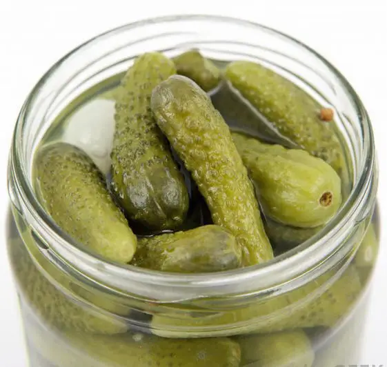 TW6 Cucumber Pickles In Glass Jars Preserved Gherkins in Brine From Viet Nam Drum Packing 0084971886886
