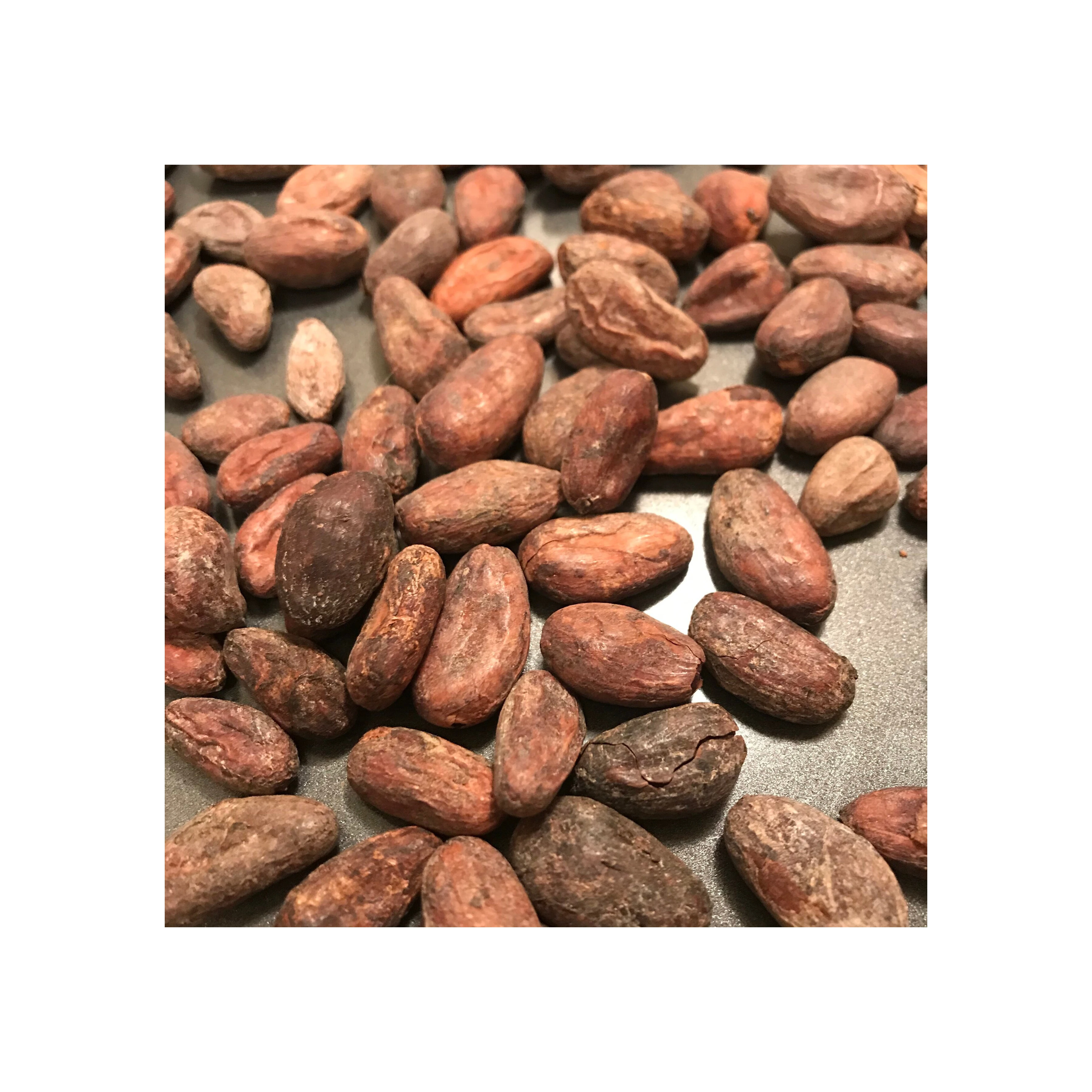 Bake material Natural wholesale price dried Raw Cocoa Beans coco bean for sale