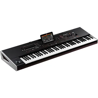 New Year Promo Price For Korg Pa4x 76 Exht Keyboard is actually with a PaAS Speaker system