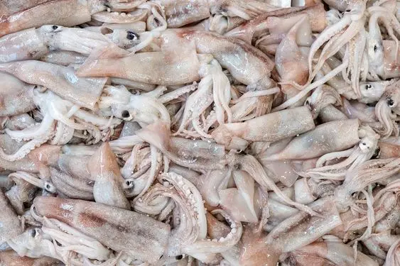 Полукальмары целые очищенные кольца вырезаны индийский