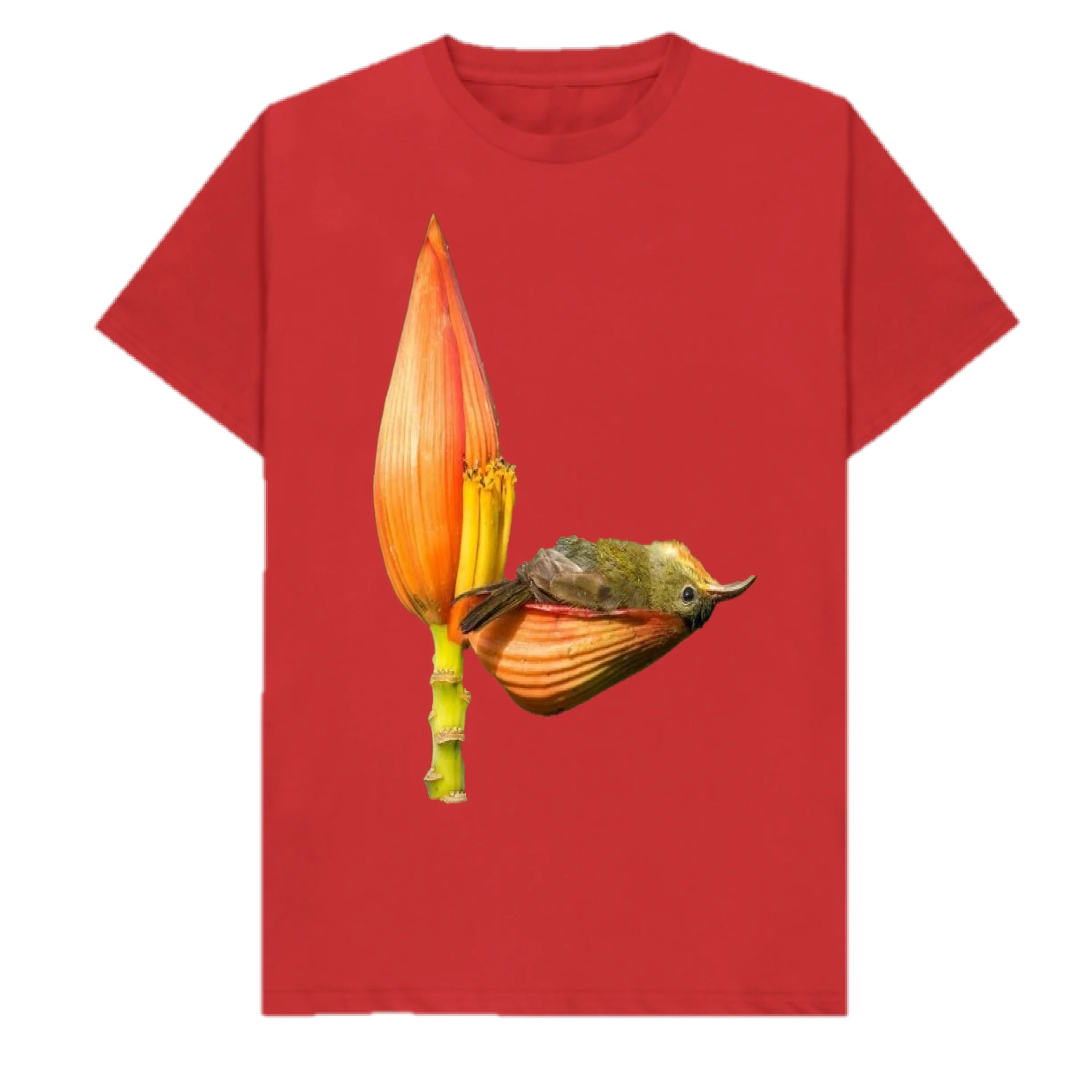 Bird Print Good Quality Unisex T Shirt Solid Color Sustainable Direct Factory Made 100% Cotton Wholesale Price T Shirt