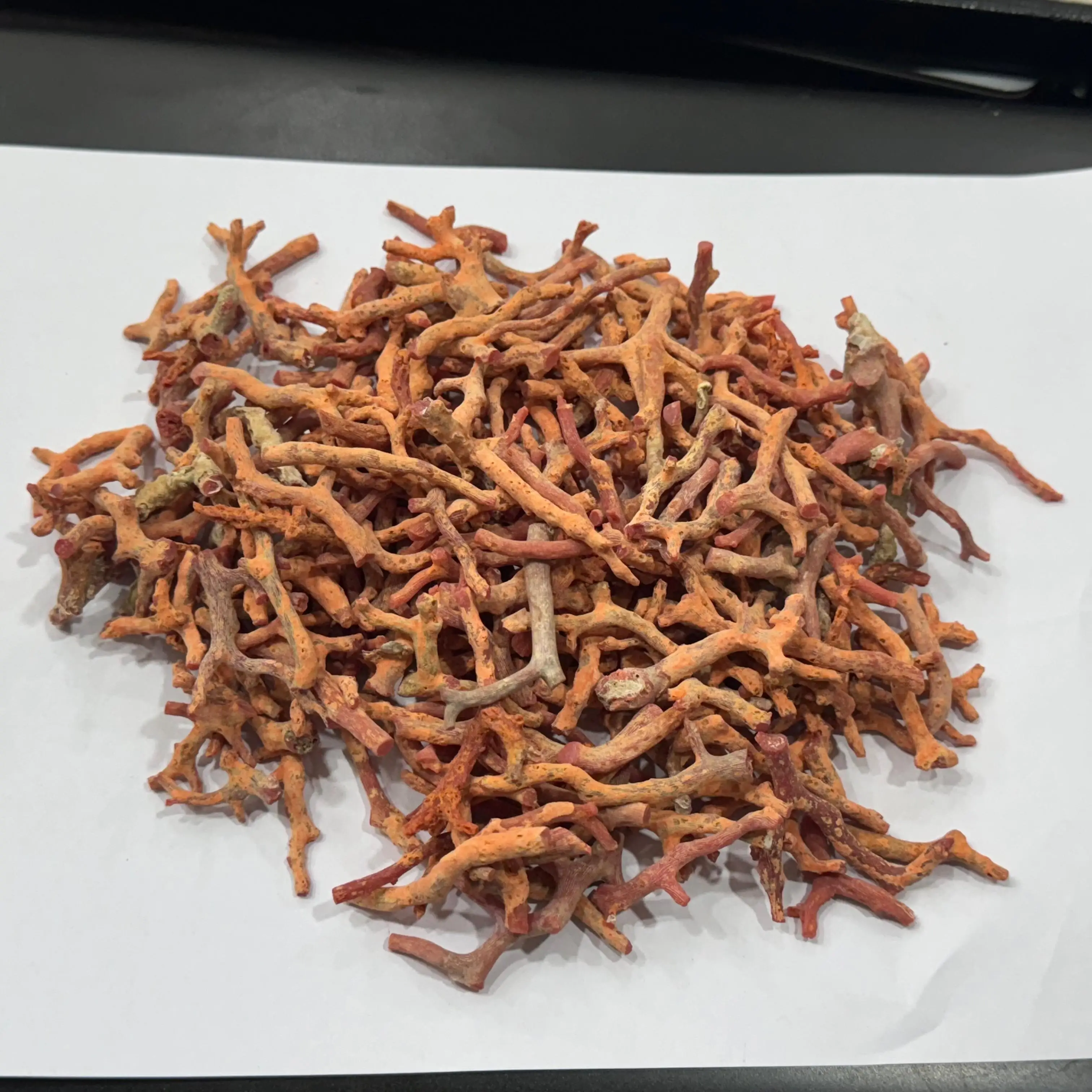 Natural Italian Coral Rough Sticks High Quality Italian Sea Red Coral Raw Sticks For Sale bulk product