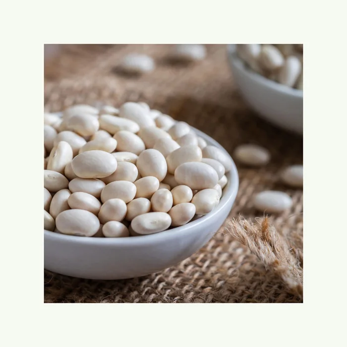 Best Quality Wholesale White Kidney Beans For Sale In Cheap Price Top Grade Wholesale white kidney Beans For Sale In Cheap Price