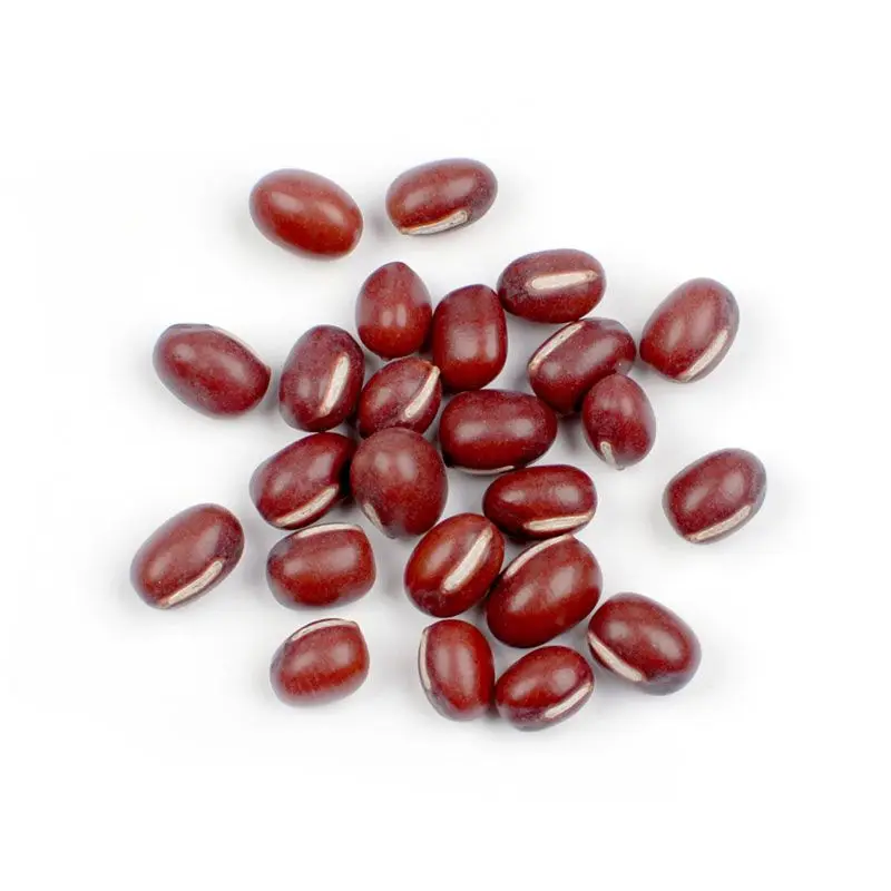 Buy Bulk Adzuki Beans, Organic