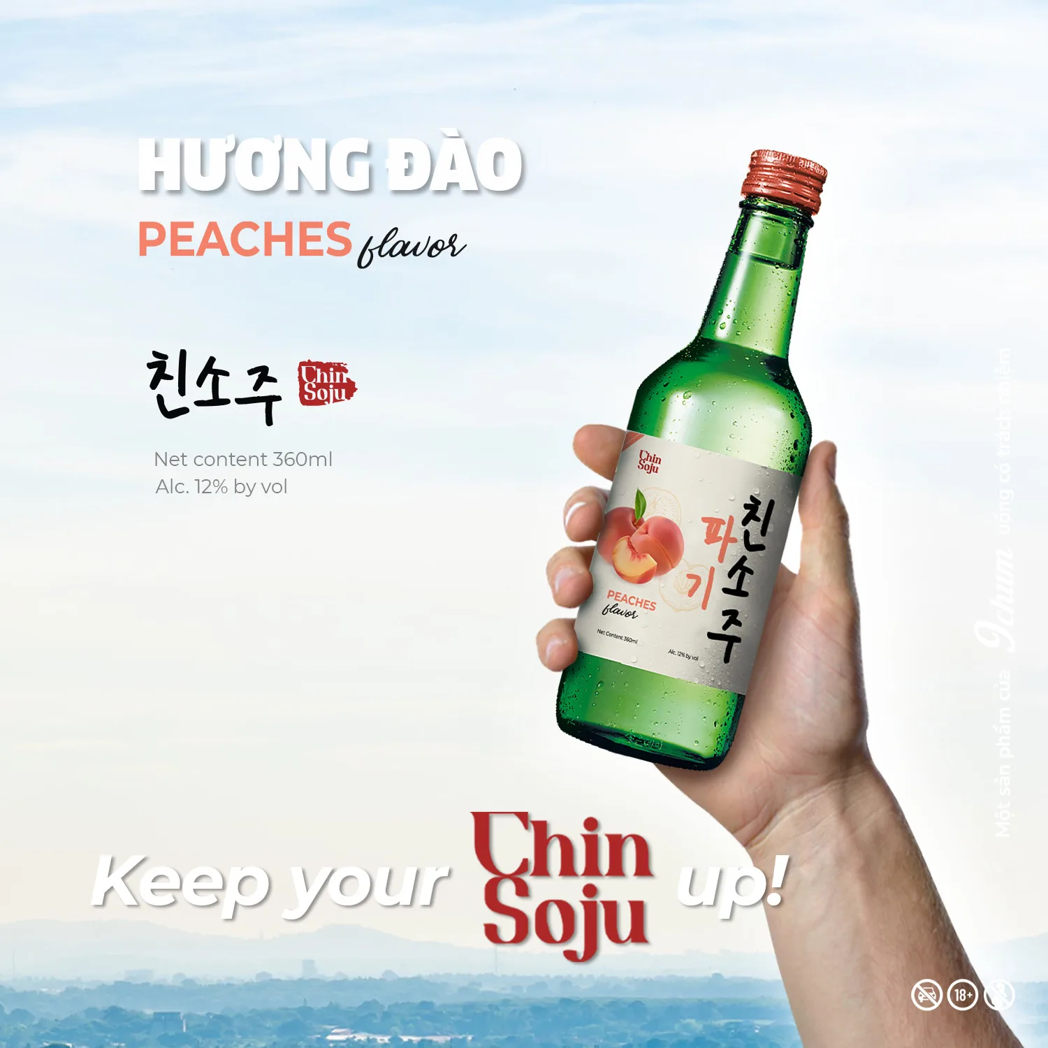 CHIN SOJU Korean Soju 360ml high quality manufacture cheap price whole sale soju OEM service highly recommended