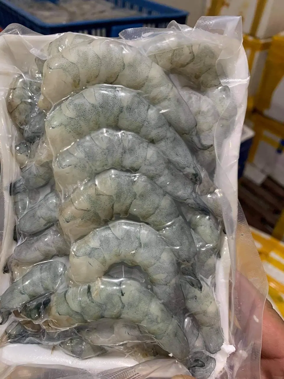 BEST SALE - FROZEN SHRIMP - HIGH QUALITY PRODUCTS