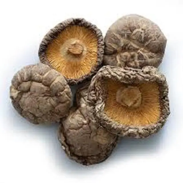 Wholesale High Quality Dried Candy Cap Mushrooms