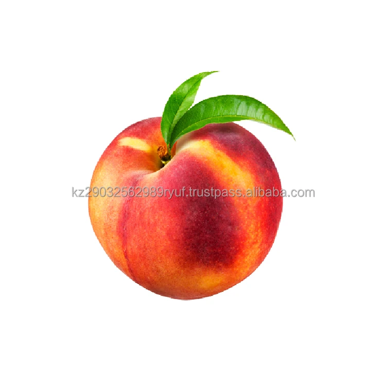 Ripe clean peaches juicy and incredibly sweet highly regarded by gourmets all over the world