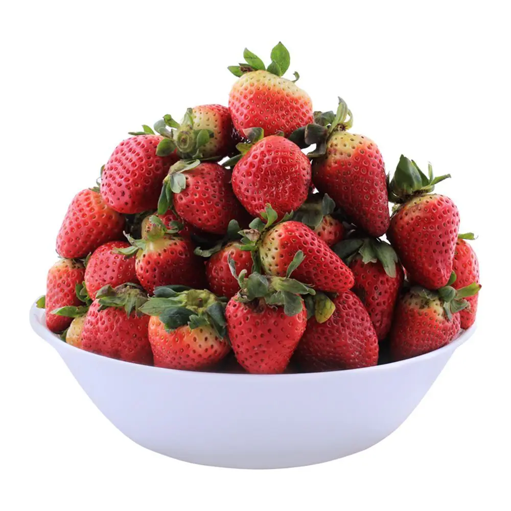 Wholesale Japanese premium farm sweet fresh strawberry fruit
