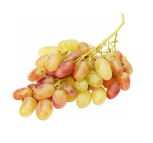 High grade non-GMO wholesale fresh fruits and vegetables from Uzbekistan fresh Rizamat Ota Pink Grape for Food