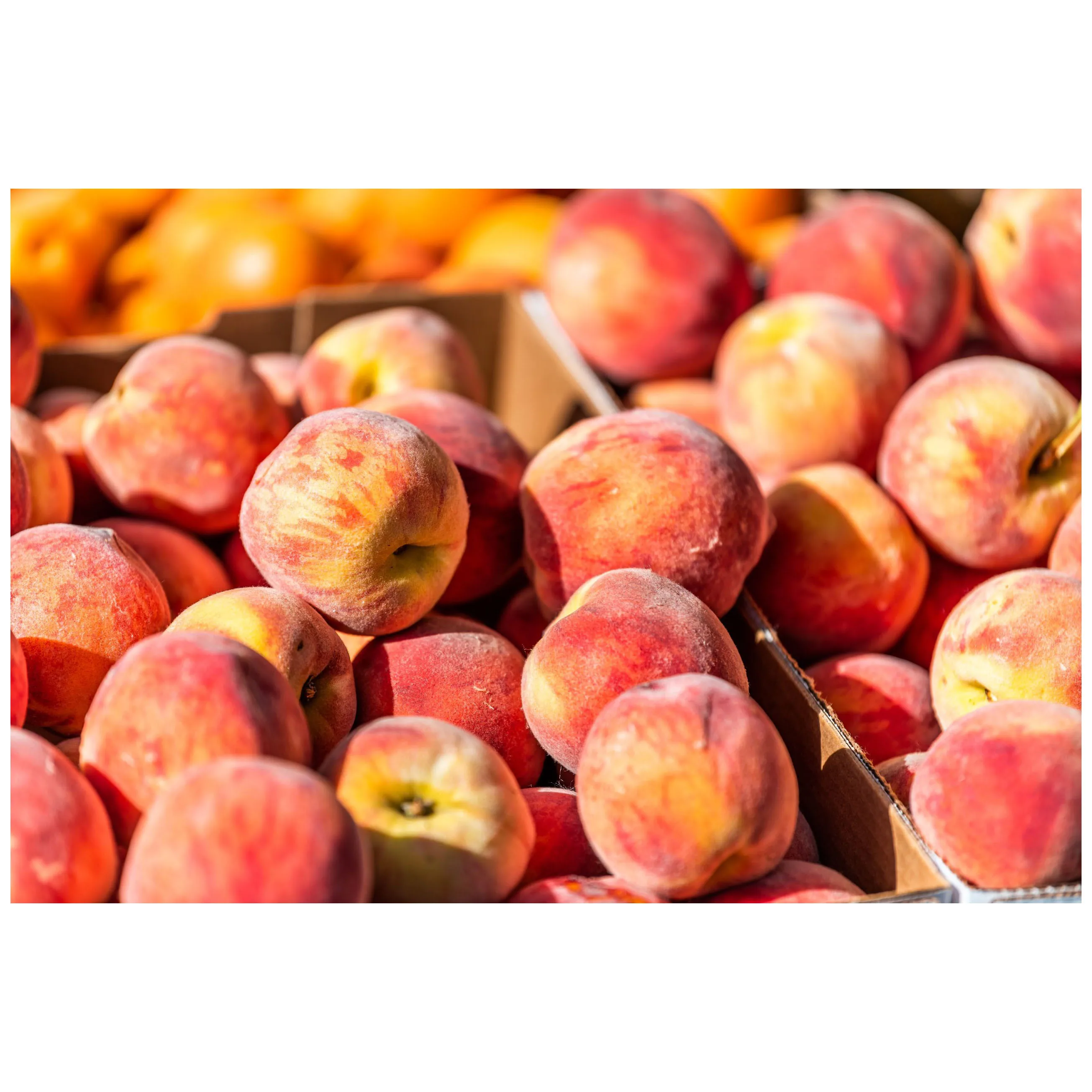 Organic Natural Peach Fresh Fruit For Sales High quality natural fruit snack sliced dried yellow peach dried peach