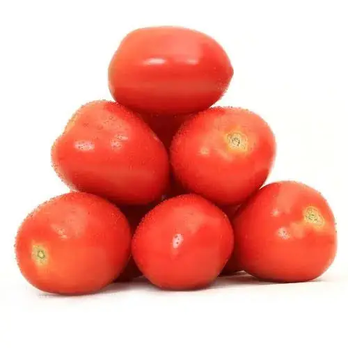 Red Heathy  Fresh Tomatoes / Cheap Price Fresh Tomatoe