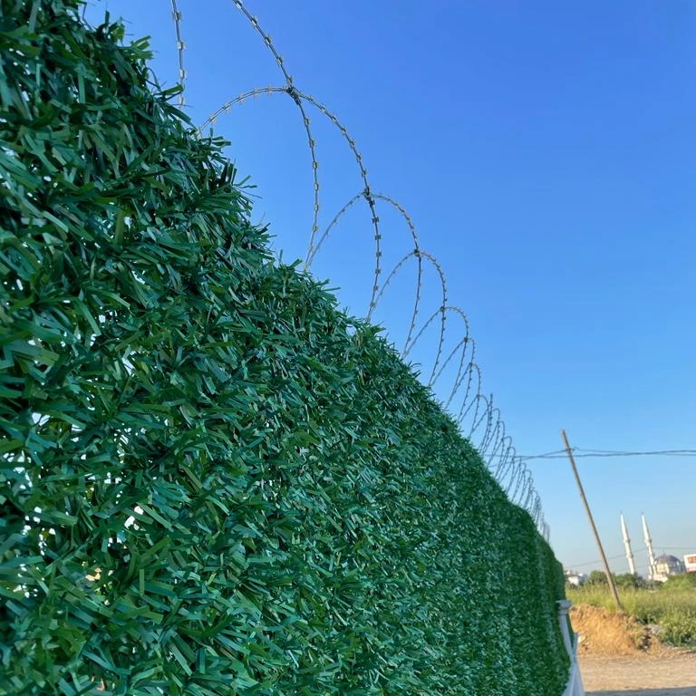 Высокобезопасная оцинкованная Защитная колючая проволока для наружных садовых домов зоны безопасности изготовленные из оцинкованных проводов