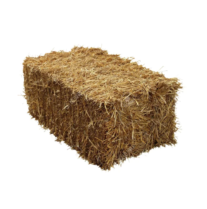 Orchard Grass Hay for Animal Feeding Stuff Alfalfa / Oat Hay/Lucerne bales