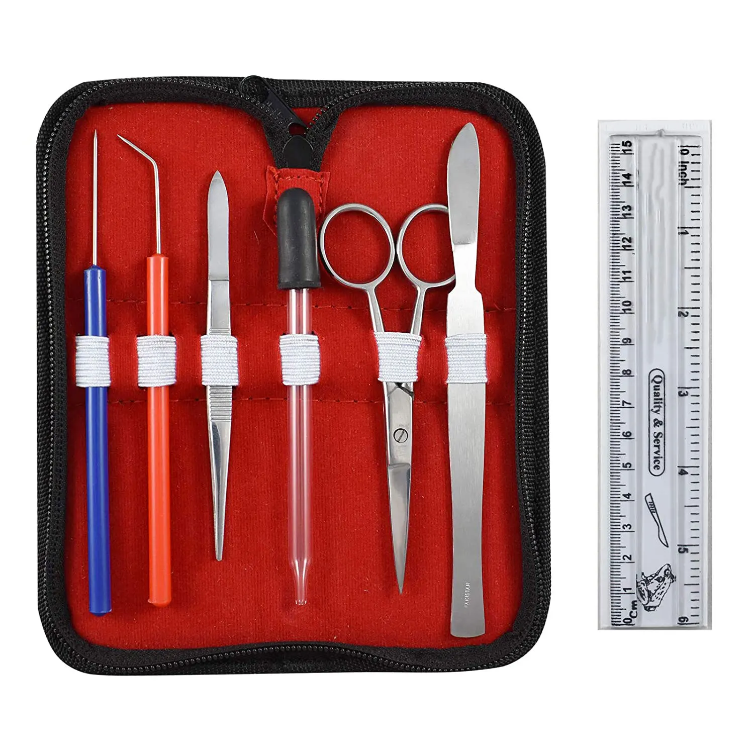 Set of 13 Pieces Professional Basic Surgical Forceps Scissors Needle Holder Kit Stainless Steel Box Instruments