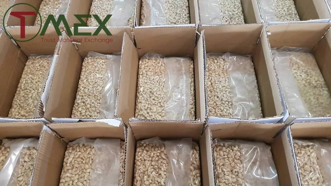 Vietnam Cashew Nuts 2022 W450 Best Seller Product Kernels From