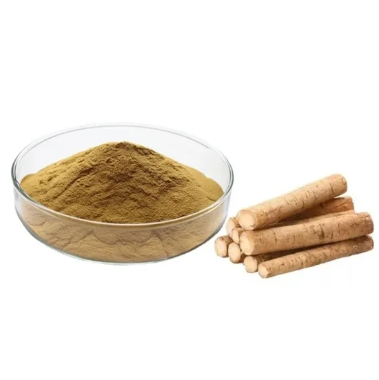 Premium Burdock Extract Powder for Immune Support Detox and Skin Health at Reasonable Prices from India
