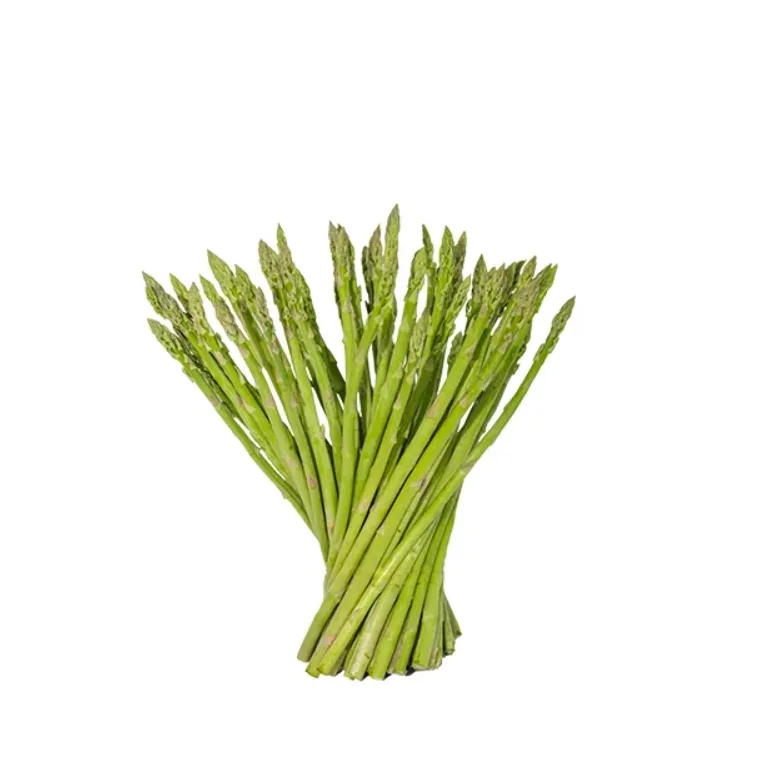 2023 Fresh Baby Asparagus From USA Ready to Export Premium Quality Fresh Vegetable Low Price