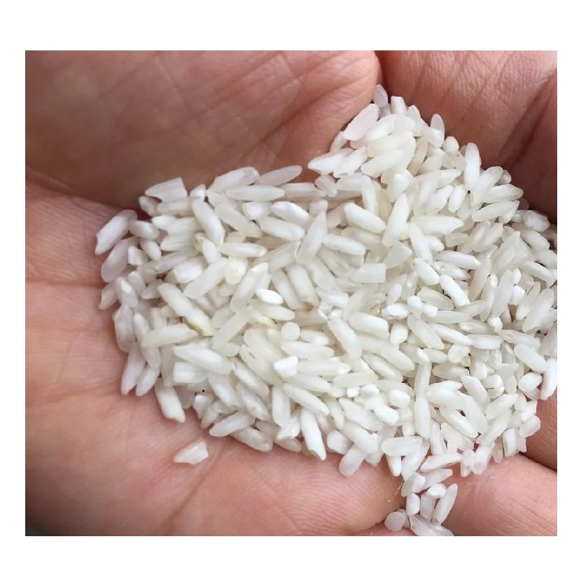14.5% Max. Moisture Vietnam Long Rice 504 (25% Broken) New Crop White Rice Dried Organic Jasmine Bulk Long-Grain Rice